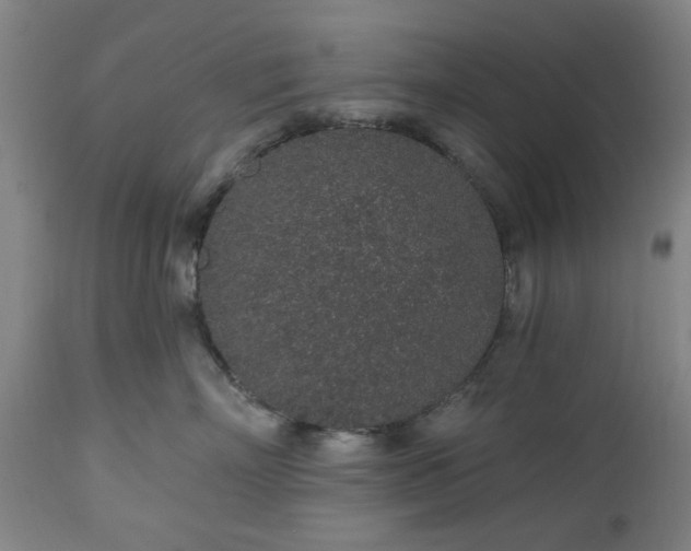 X0000112520718200908241444