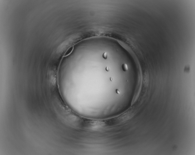 X0000112520719200908241444