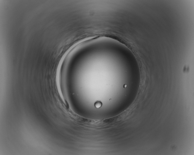 X0000112520720200908241444