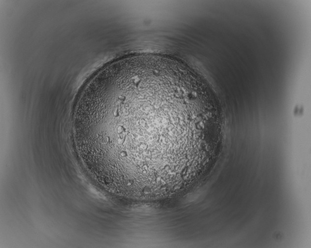 X0000112520721200908241444