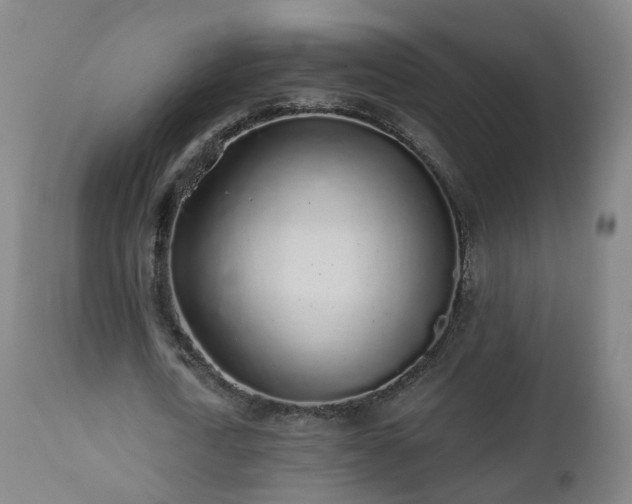 X0000112520722200908241444