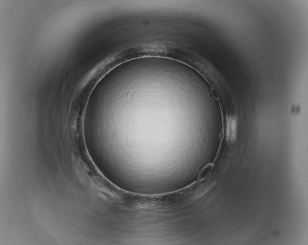 X0000112520723200908241444