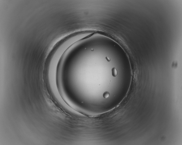 X0000112520724200908241444