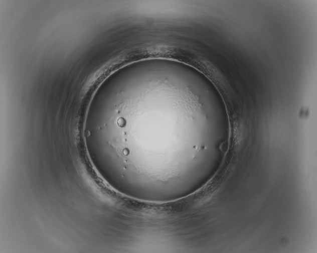 X0000112520725200908241444
