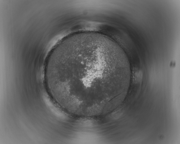 X0000112520726200908241444