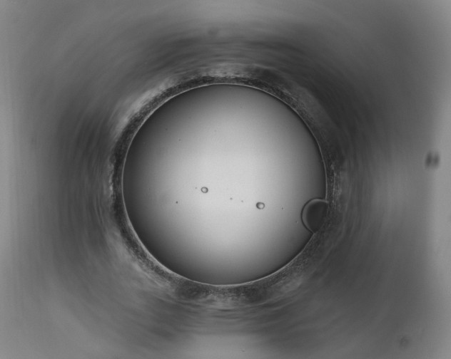 X0000112520727200908241444