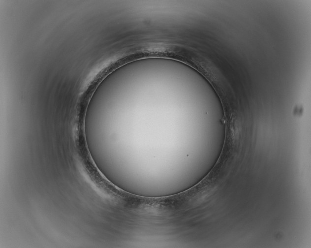 X0000112520728200908241444