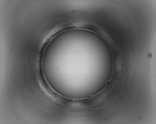 X0000112520730200908241444