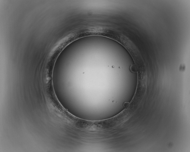 X0000112520731200908241444