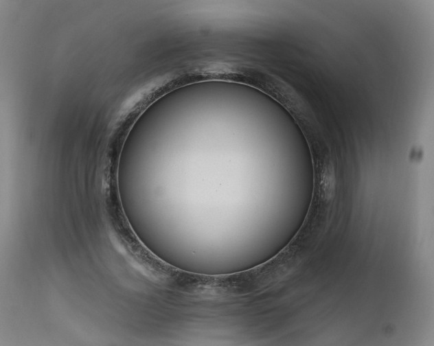 X0000112520732200908241444