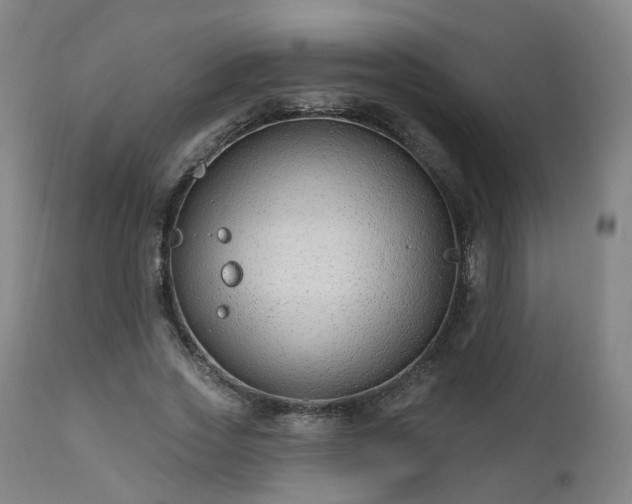 X0000112520733200908241444