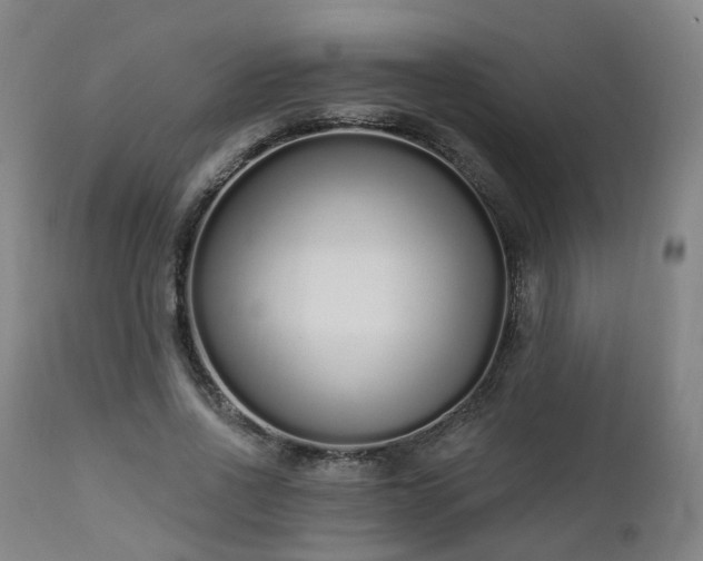 X0000112520734200908241444