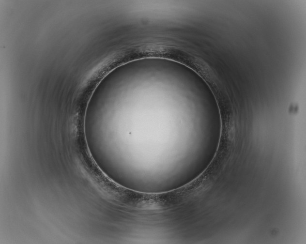 X0000112520735200908241444