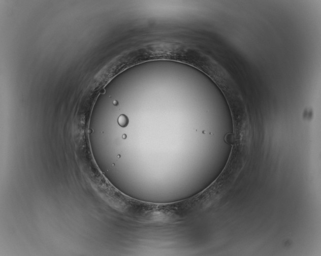 X0000112520737200908241444