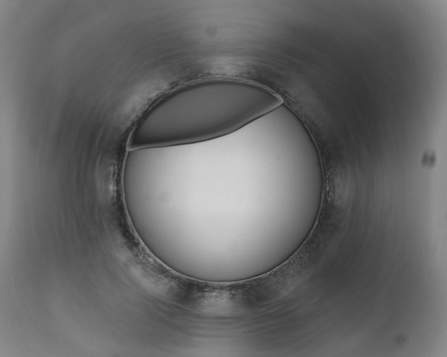 X0000112520740200908241444