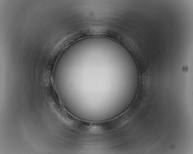 X0000112520741200908241444