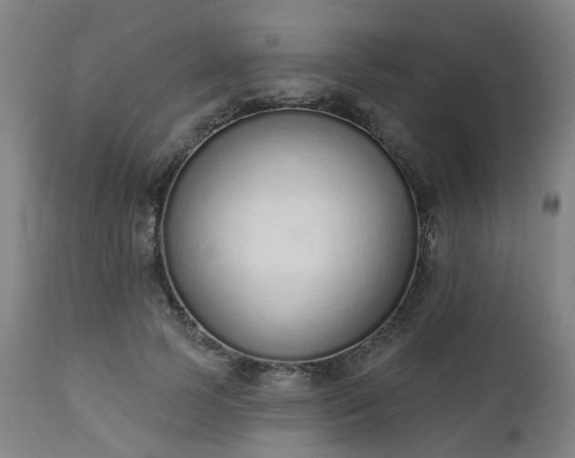 X0000112520745200908241444