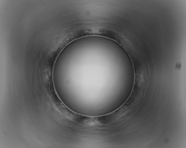 X0000112520747200908241444