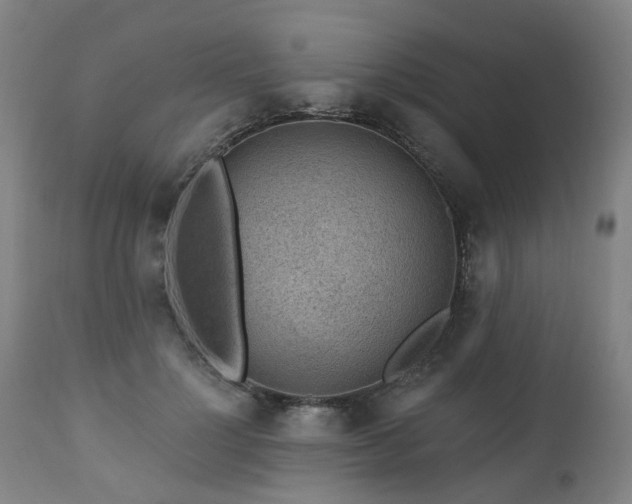X0000112520748200908241444