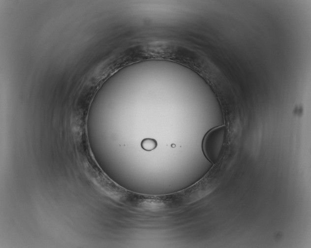 X0000112520749200908241444