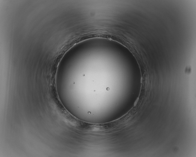 X0000112520750200908241444