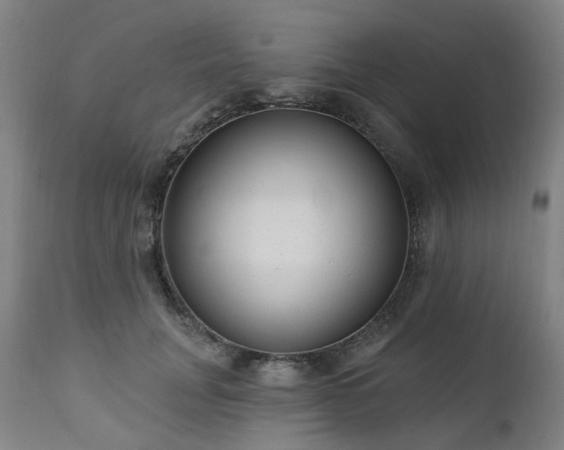 X0000112520751200908241444