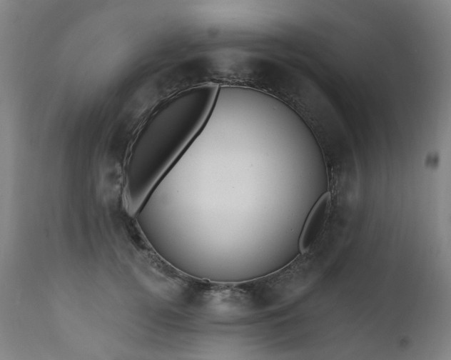 X0000112520752200908241444