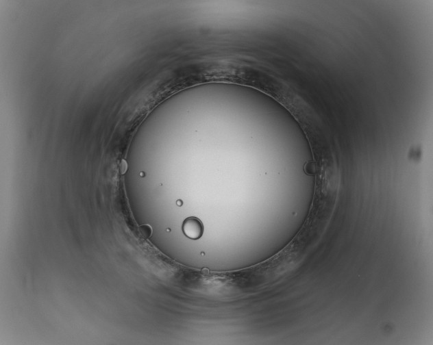 X0000112520753200908241444