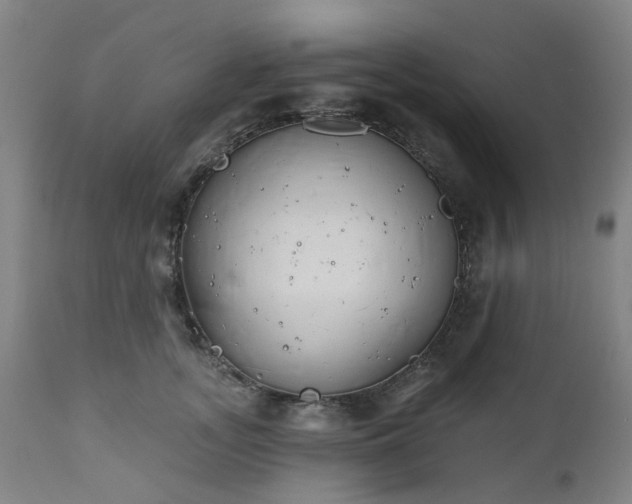 X0000112520755200908241444