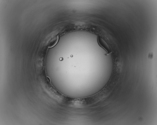 X0000112520756200908241444