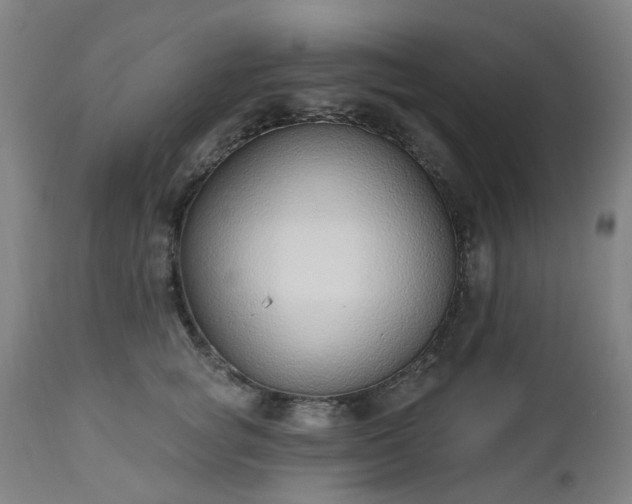 X0000112520757200908241444