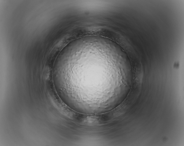 X0000112520758200908241444