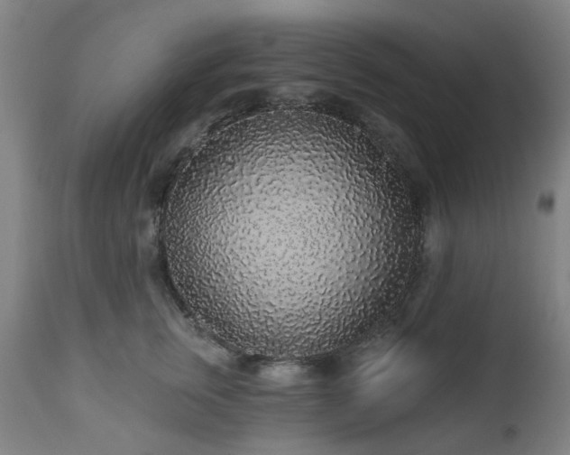 X0000112520759200908241444