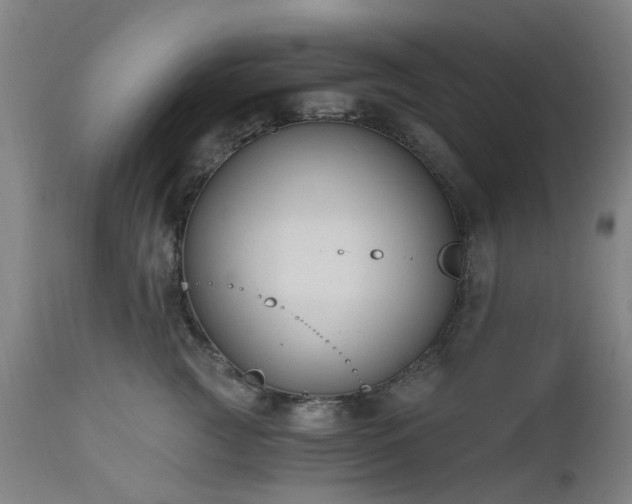X0000112520761200908241444