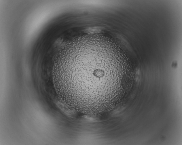 X0000112520763200908241444
