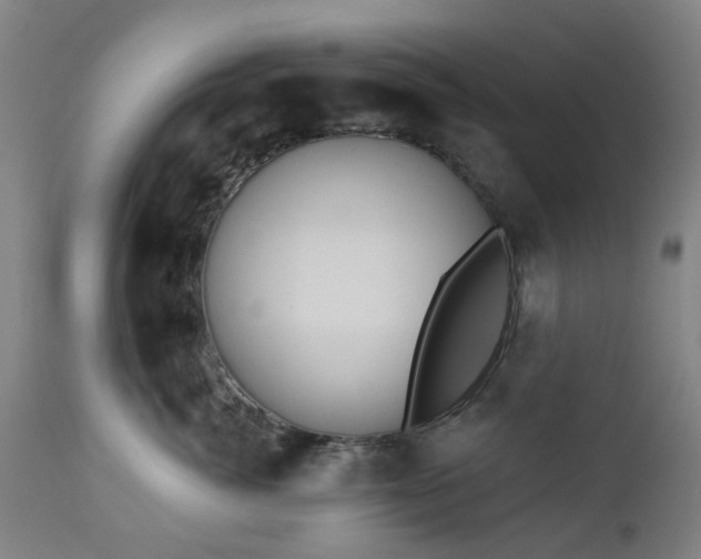 X0000112520764200908241444