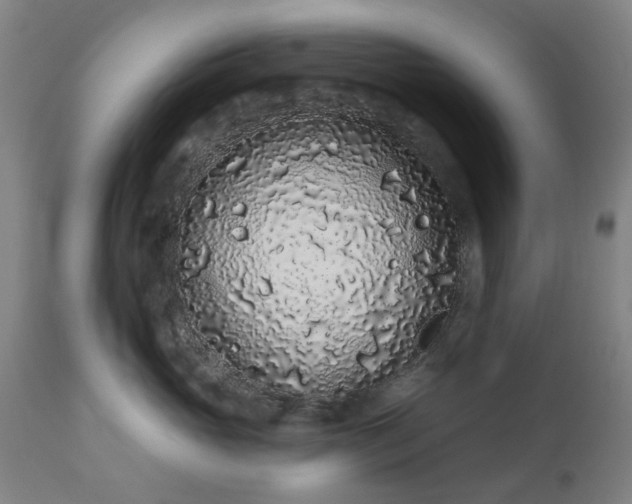 X0000112520765200908241444