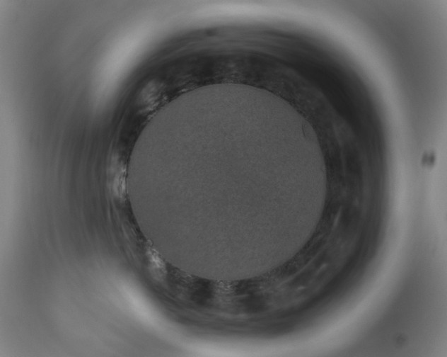 X0000112520766200908241444