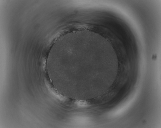X0000112520767200908241444