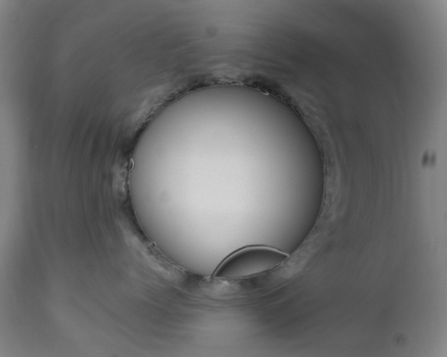 X0000112520768200908241444