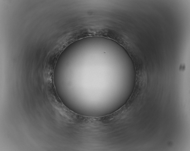 X0000112520770200908241444