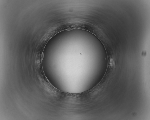 X0000112520771200908241444