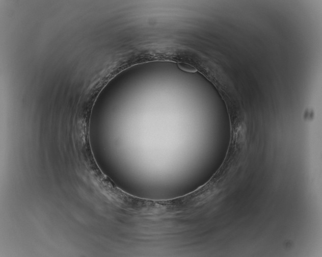 X0000112520772200908241444