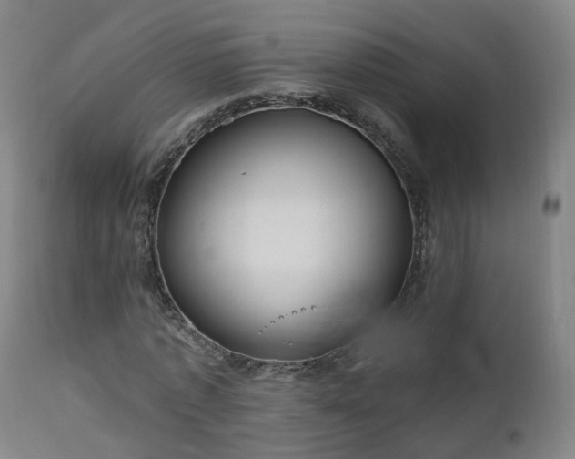 X0000112520773200908241444