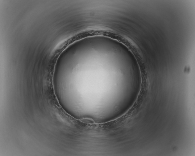 X0000112520775200908241443