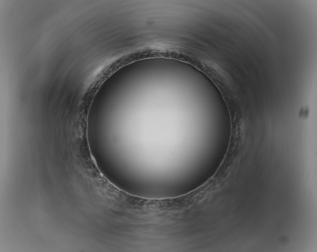 X0000112520776200908241443