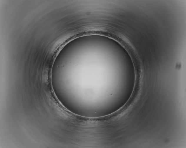 X0000112520777200908241443