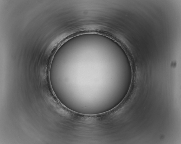 X0000112520778200908241443