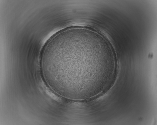 X0000112520779200908241443
