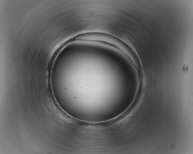 X0000112520781200908241443